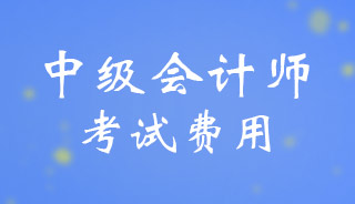 2024新疆自治区中级会计师考试费用是多少？